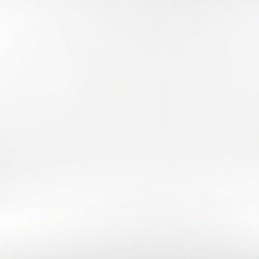 Studio White